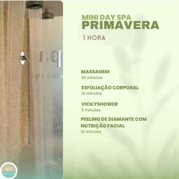 Voucher mini Primavera individual